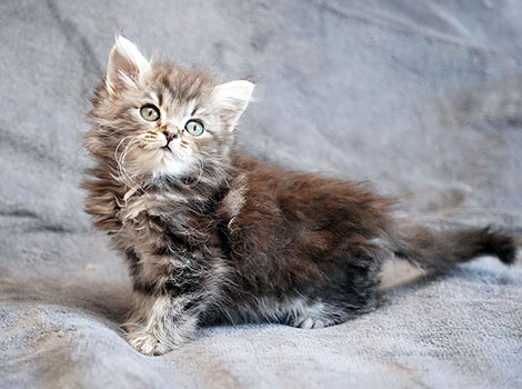 Pep am 11. Mai  2025